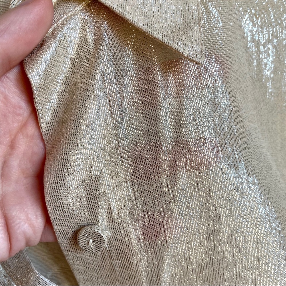 Vintage Sparkly Silk Champagne Long Sleeved Blouse - Picture 5 of 13